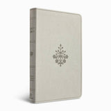 ESV Large Print Value Thinline Bible (TruTone, River Stone)