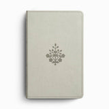 ESV Large Print Value Thinline Bible (TruTone, River Stone)
