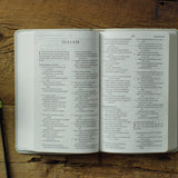 ESV Large Print Value Thinline Bible (TruTone, River Stone)